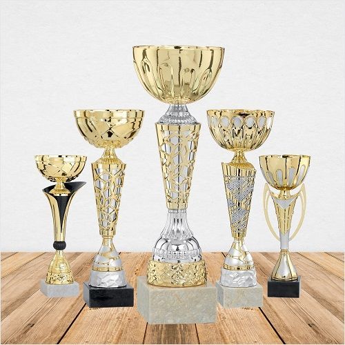 Best Trophy Manufacturers in india _ Trophy store.jpg
